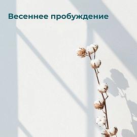 Весеннее пробуждение